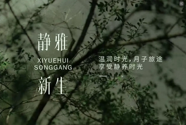 禧月荟·深圳第8店|宝安松岗月子中心，盛大起航5