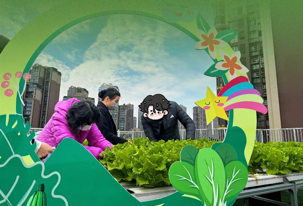 在成都月子中心坐月子，吃上自己采摘的新鲜有机蔬菜啦！2