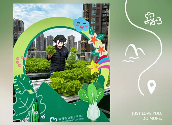 在成都月子中心坐月子，吃上自己采摘的新鲜有机蔬菜啦！4