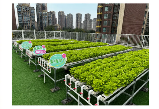 深圳月子中心的快乐时光，解锁2024年各种活动项目40